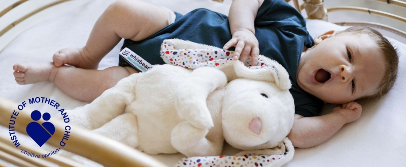 media/image/Whisbear-baner-6.jpg