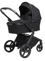 ANEX Baby Kombikinderwagen l/type onyx